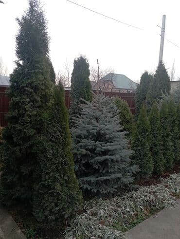 ароматные палочки: Декор для дома и сада — 7