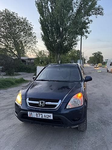 Honda CR-V: 2003 г., 2.4 л, Автомат, Газ, Кроссовер