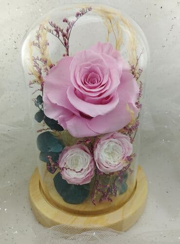 метровые розы бишкек: Живые розы которые не завянут даже через год!!! Бишкек (Вазы от 1400 — 5