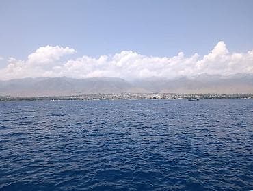помогу открыть бизнес: Жумуш издейм водитель B C бар — 1
