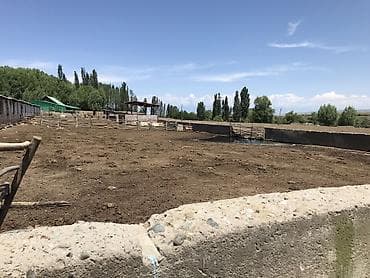 под кошару: Кошара, 2500 соток, Действующий, Без оборудования, Электричество — 10