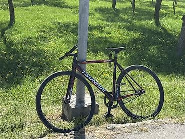 zimmer e9 pro: Городской велосипед, Tsunami, Рама M (156 - 178 см), Б/у — 1