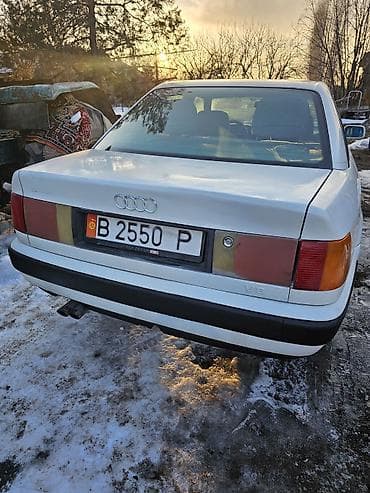 Audi 100: 1992 г., 2.8 л, Механика, Бензин, Седан