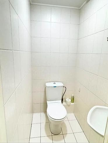3 комнаты, 116 м², Цум Индивидуалка, 12 этаж, Свежий ремонт — 10