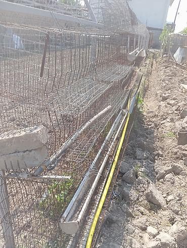 купить породистую кошку: Тукум багытындагы тоок бакканы клеткалар сатылат баасы келишим баада — 1