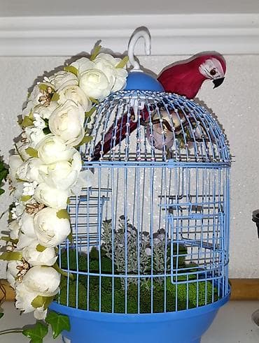 Декор жана интерьер: Авторская декоративная клетка ручной работы 🌸🦜 Эксклюзивная — 1