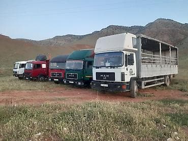 фура айдайм: Грузовик, MAN, Стандарт, 7 т, Б/у — 3