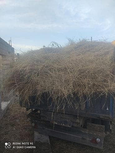 Транспорт: Легкий грузовик, ГАЗ, Стандарт — 3