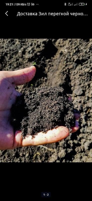 продам курей: Чёрнозем рыхлый без сарников без мусора даставка по городу течений 2-3 — 2