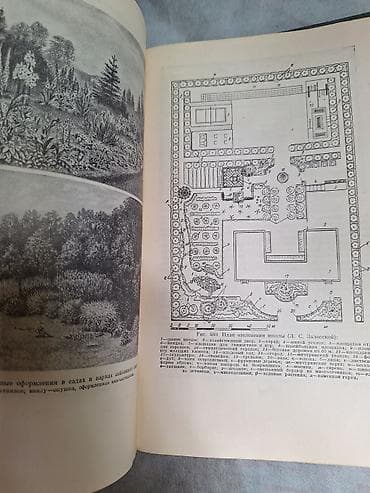мед книга купить: ЦВЕТОВОДСТВО. Антикварная книга Г. Киселев Москва 1952 Тираж 75.000 — 8