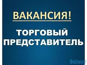торговый предстовитель: Требуется Торговый агент, График: Пятидневка, 1-2 года опыта, Обучение, Неполный рабочий день — 1