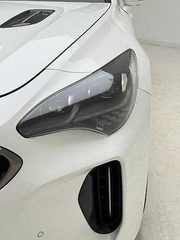 kia stinger 2019: Kia Stinger: 2019 г., 2.2 л, Автомат, Дизель, Фастбек — 5
