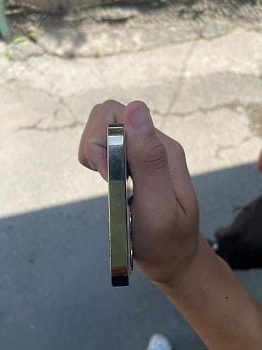 камера с сим картой и датчиком движения: IPhone 12 Pro, Золотой — 2