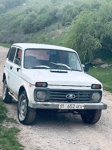 боковой: ВАЗ (ЛАДА) 2121 (4x4): 1984 г., 1.6 л, Механика, Бензин, Внедорожник — 3