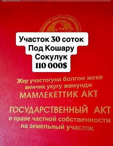 участок ала тоо2: 30 соток, Для сельского хозяйства, Красная книга — 1
