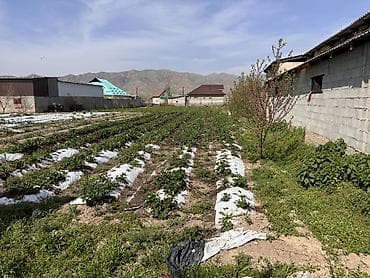 di store: 7 соток, Для строительства, Красная книга, Тех паспорт — 3