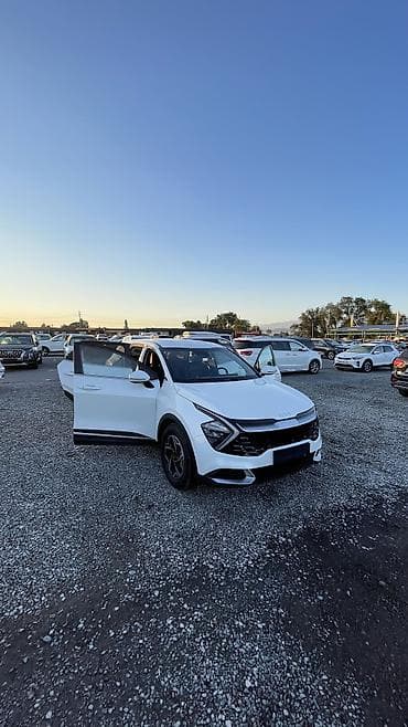 киа к3 бампер: Kia Sportage: 2022 г., 2 л, Автомат, Дизель — 6