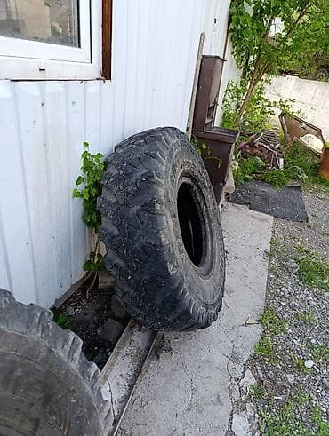 порш 911 турбо с: Шина внедорожная T-REX 325/95R18 (бренд Trelleborg/T-Rex на боковине) — 2