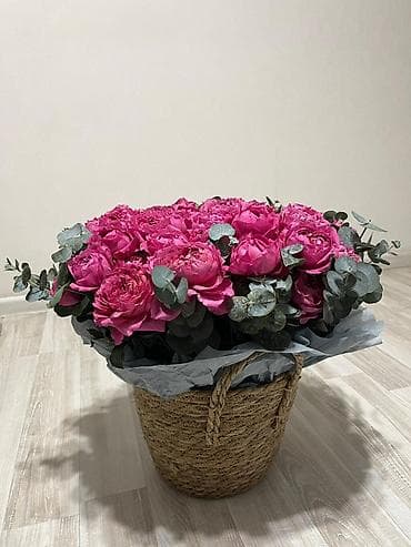 мухоловка цветок: Шикарный букет пионовидных роз в корзине 💖 Большой, пышный и очень — 2