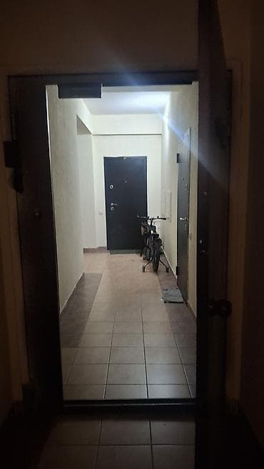 1 комната, 29 м², Индивидуалка, АЮ Гранд Индивидуалка, 8 этаж — 4