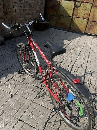 Шоссе велосипеддери: Тоо велосипеди, Велосипед алкагы M (156 - 178 см), Болот — 3