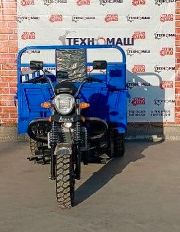 купить муравейник мотоцикл: Мотороллер муравей Бензин, 250 - 299 км, 1500 кг и более, Новый, В рассрочку — 6