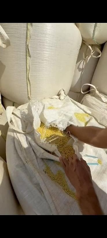 Сера комовая/гранулированная техническая. - Тип продукта: сера — 3