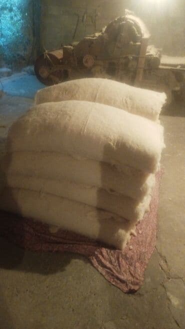 накладные брекеты для красоты купить: Расчес ваты,синтафон,шерст
куплю б/у ваты синтафон.
30-50 сом — 1