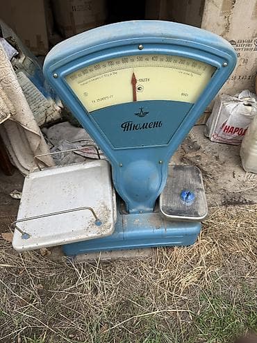 канистр: Канистра — 2