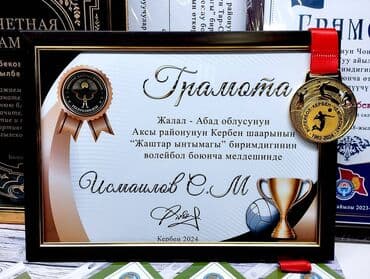 чехол для документов: Грамоты, дипломы, сертификаты с рамкой и без с Вашим текстом! Дизайн — 2