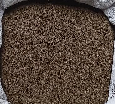 декоративные цветы бишкек: Беде урук, эспарцет урук сатылат, жугору урук кепилдиги менен дун жана — 4