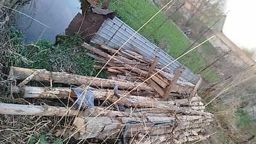 сухое дерево: Дрова — 2