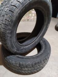 кой кыркыч: Продаю | Жеребенок | Для разведения | Племенные — 5