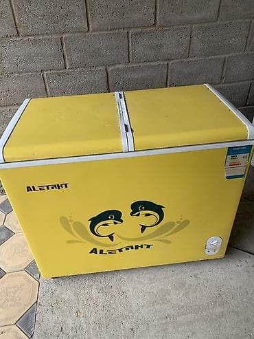 шикав: Морозильный ларь AletahT (модель BC/BD-217) робочий - Тип — 2