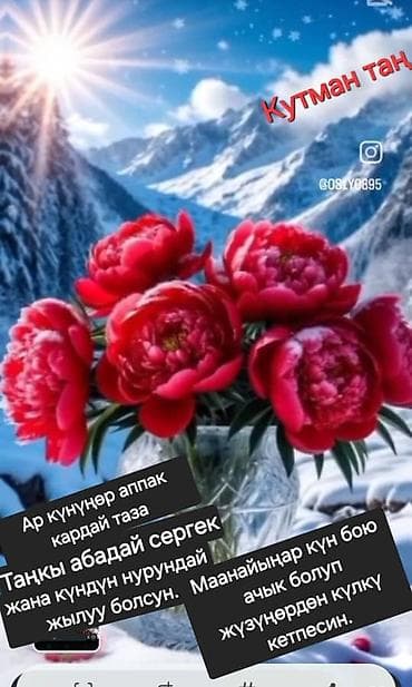 коль: Паломнические туры в святые места (Умра/Зиярат) для пожилых и семейных — 4