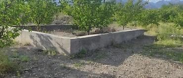 яблоневый сад: 10 соток, Для сельского хозяйства, Красная книга — 5