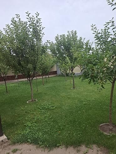 Дома: 🏡 Продаётся роскошный дом премиум-класса!!! 📍 Район: Киргизия-1 🏠 — 10