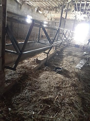 кормушки для кур: Представляем вам сараи под ключ навесы кормушки для баранов овец — 1