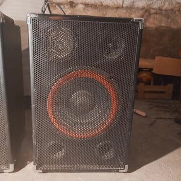 студийное оборудование: Акустическая система с черным корпусом и металлической сеткой — 4