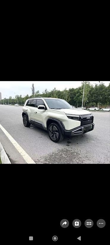 wuling mini ev: BYD FangChengBao Leopard 3: 2025 г. — 1