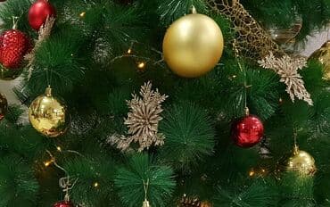 лак для брусчатки бишкек: Продаю новогоднюю ёлку б/у, высота 1,9-2м 
(без игрушек) — 2