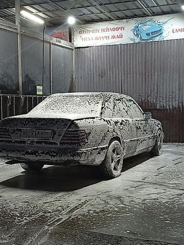 Mercedes-Benz W124: 1995 г., 3.2 л, Автомат, Бензин, Седан