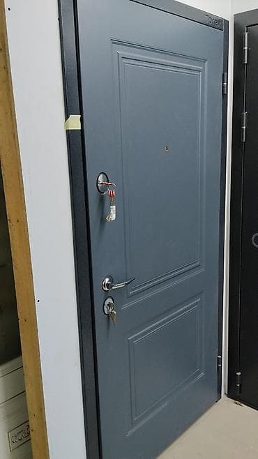 solutions elementary: Двери для домов и квартир, Металлическая, Одностворчатая, Российская, цвет - Серый — 1