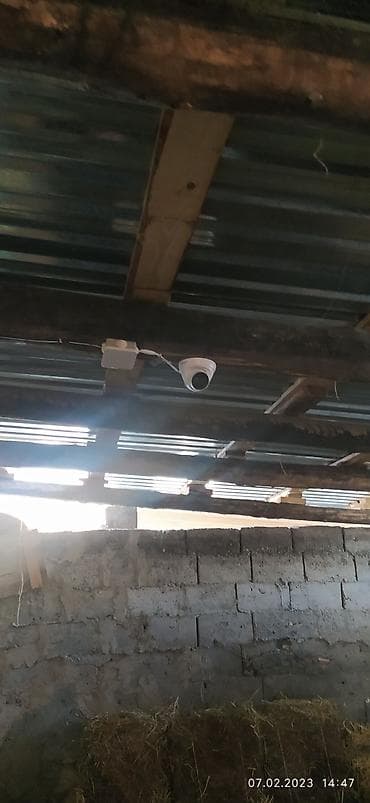 iphone s5: Системы видеонаблюдения, Домофоны | Офисы, Квартиры, Дома | Демонтаж, Настройка, Подключение — 7