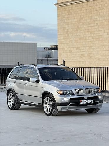 BMW X5: 2004 г., 4.8 л, Автомат, Бензин, Внедорожник