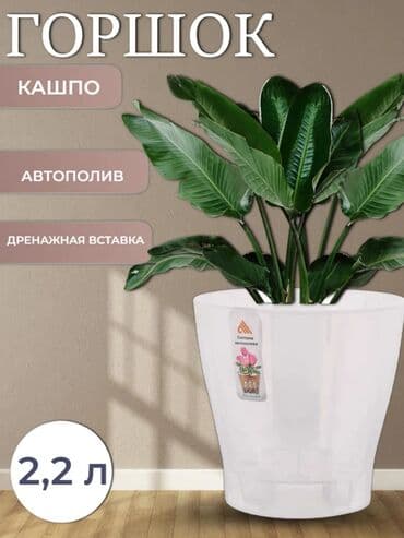Цветочный горшок д/орхидеи "Лея" 2,2 л прозрачный