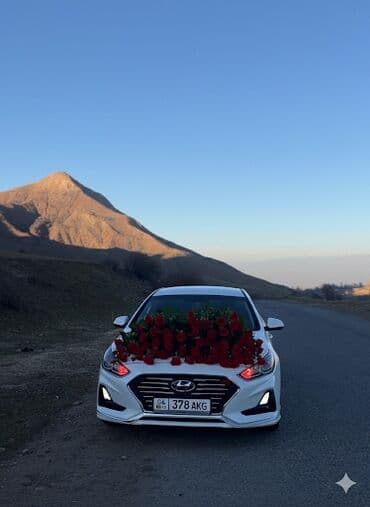 работа в болгарии для граждан снг: Заказга чыгам хундай соната все регионы либое место — 2