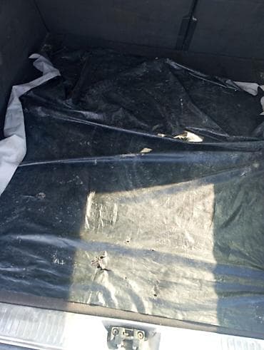 Пленканын түрү