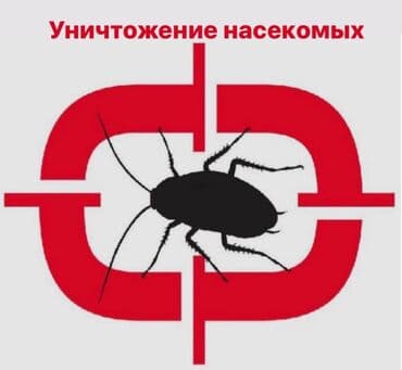 уничтожение вредителей: Дезинфекциялоо, дезинсекциялоо, | Канталалар, Бүргөлөр, Таракандар, | Транспорт, Офистер, Батирлер — 1
