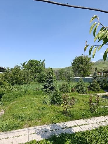 тез арада: 8 соток, Курулуш — 8